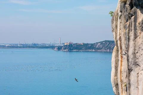 Duino castle overlooking adriatic sea with mussel farms 库存照片