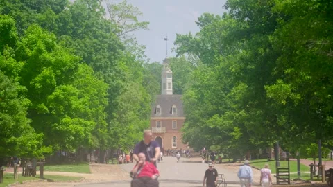 Duke of Gloucester Street Stock Footage 313700449