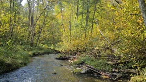 Dūkšta River educational trail Stock Footage 161951494