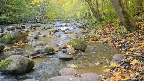 Dūkšta River educational trail Stock Footage 161951624