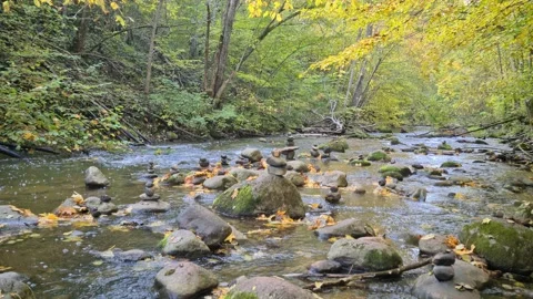 Dūkšta River educational trail Stock Footage 161951747