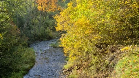 Dūkšta River educational trail Stock Footage 161951825