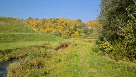Dūkšta River forest, Lithuania Stock Footage 161951466