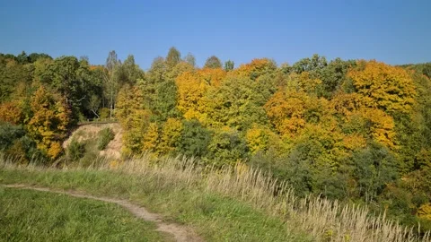 Dūkšta River forest, Lithuania Stock Footage 161951476