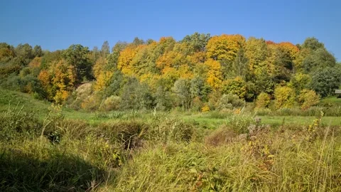 Dūkšta River forest, Lithuania Stock Footage 161951611