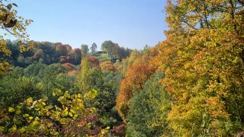 Dūkšta River forest, Lithuania Stock Footage 161951616
