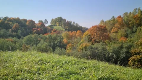 Dūkšta River forest, Lithuania Stock Footage 161951678