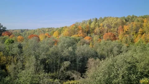 Dūkšta River forest, Lithuania Stock Footage 161951729
