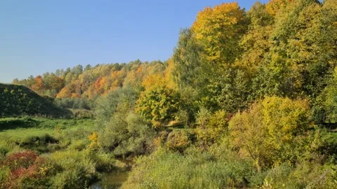 Dūkšta River forest, Lithuania Stock Footage 161951732
