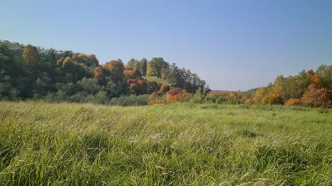Dūkšta River forest, Lithuania Stock Footage 161951740