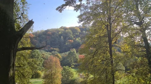 Dūkšta River forest, Lithuania Stock Footage 161951848