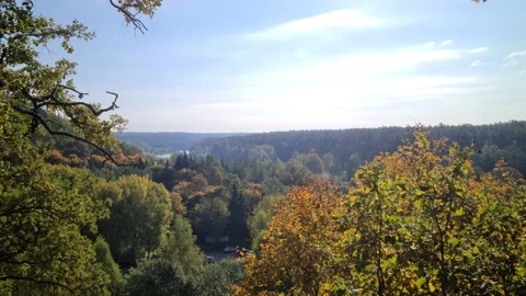 Dūkšta River forest, Lithuania Stock Footage 161951879