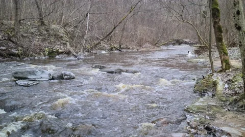 Dūkšta River in winter Stock Footage 168244592