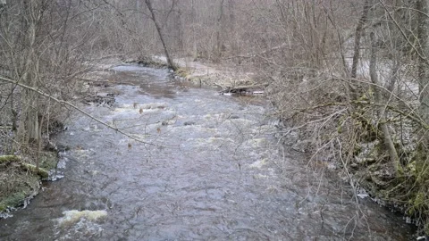Dūkšta River in winter Stock Footage 168244593