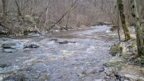 Dūkšta River in winter Stock Footage 168244750