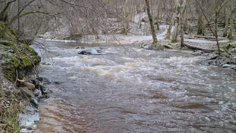 Dūkšta River in winter Stock Footage 168244814