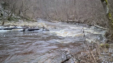 Dūkšta River in winter Stock Footage 168244825