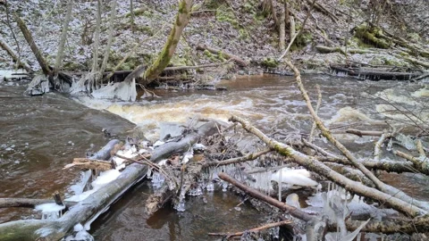Dūkšta River in winter Stock Footage 168244929