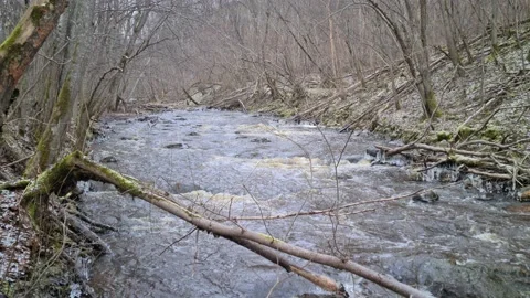 Dūkšta River in winter Stock Footage 168245092