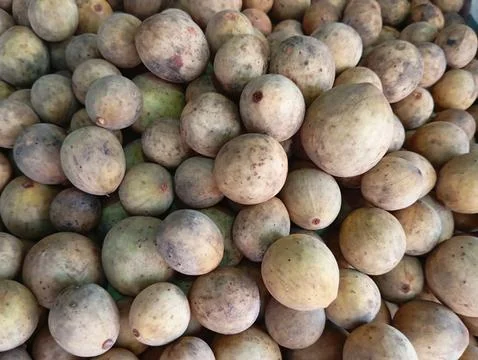 Duku fruit Stock Photos