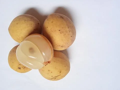 Duku fruit Stock Photos