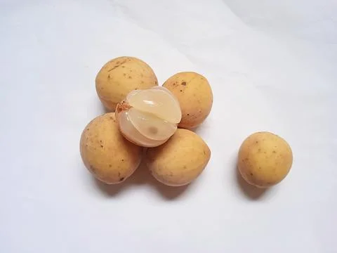 Duku fruit Stock Photos