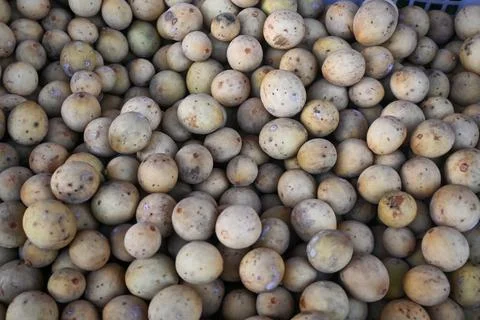 Dukung fruit Stock Photos