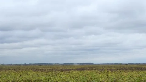 Dull View of A Gloomy Gray Sky with Gray Clouds in The Field, Time lapse. The Ba Stock Footage 162465079