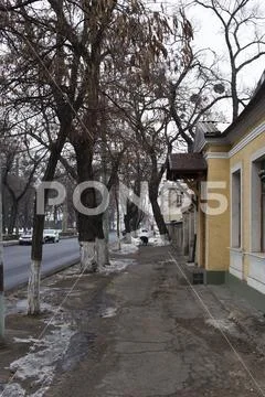 Dull winter street. Stock Photos