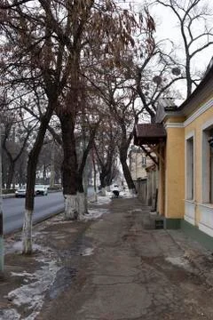Dull winter street. Stock Photos