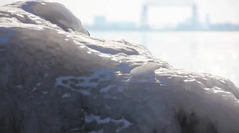 Duluth Winter Ice Lake 5 스톡 동영상 33922704