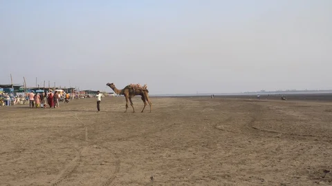 Dumas Beach Video stock 92089763