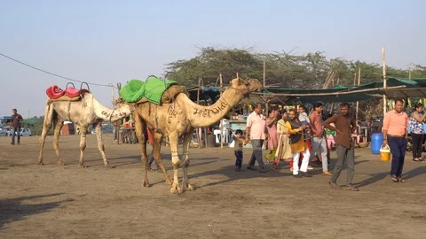 Dumas Beach Video stock 92089857