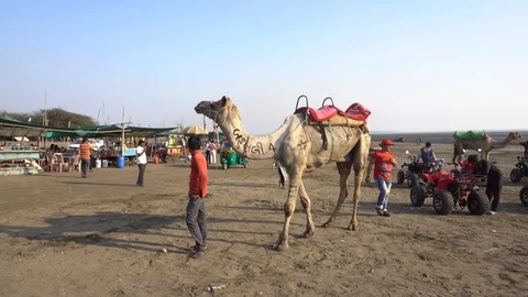 Dumas Beach Video stock 92089871