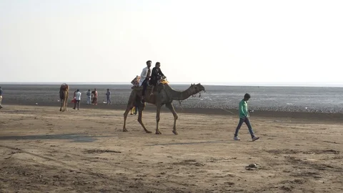 Dumas Beach Video stock 92090106