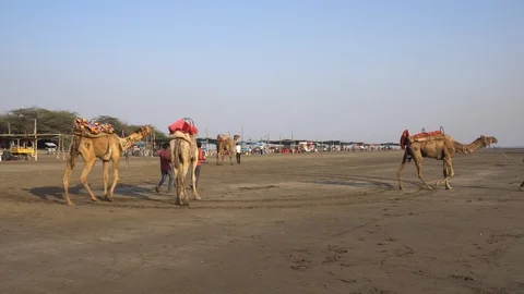 Dumas Beach Video stock 92090428