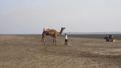 Dumas Beach Video stock 92090485