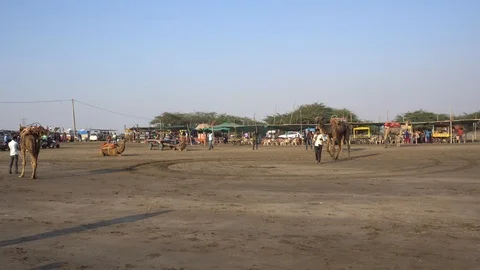 Dumas Beach Video stock 92090717