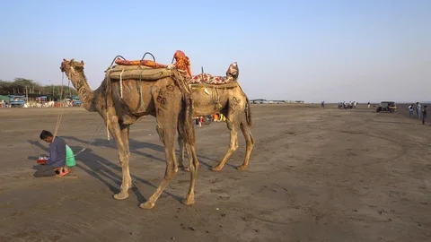 Dumas Beach Video stock 92090740