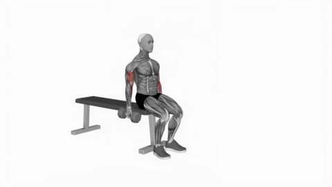 Dumbbell Alternate Biceps Curl (VERSION 2) fitness exercise workout animation ma Видео 243985062