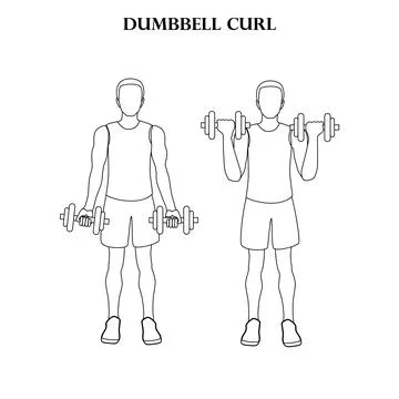 Dumbbell curl workout exercise vector illustration outline 스톡 일러스트