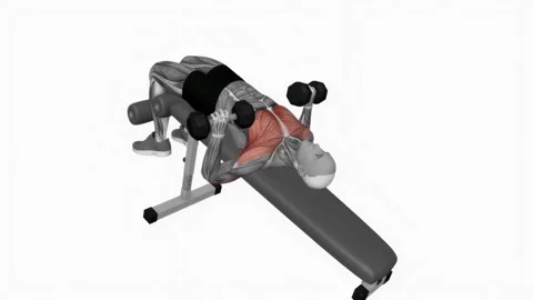 Dumbbell Decline Alternate Bench Press fitness exercise workout animation male m 動画素材 243985992