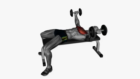Dumbbell fly flat bench slow fitness exercise workout animation male muscle high Video stock 243986047