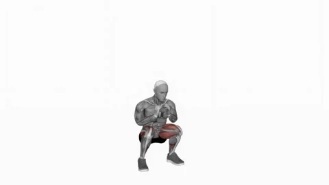 Dumbbell Goblet 2 sec Hold Squat fitness exercise workout animation male muscle  Видео 243989539