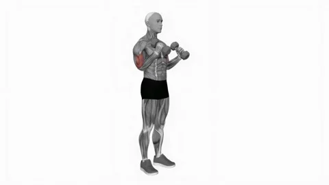Dumbbell Hammer Curl Simultaneous Arms fitness exercise workout animation male m Video stock 243985112