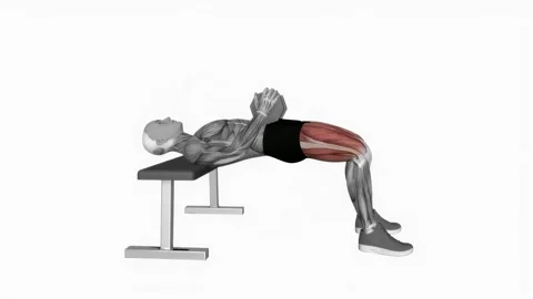 Dumbbell Hip Thrust (VERSION 2) fitness exercise workout animation male muscle h 動画素材 243989579