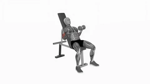 Dumbbell Incline Biceps Simultaneous Curl fitness exercise workout animation mal Vidéo 243985144