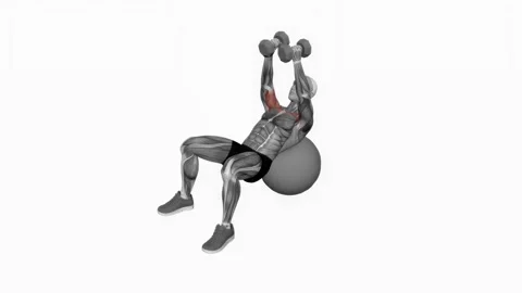 Dumbbell Incline Fly on Exercise Ball fitness exercise workout animation male mu Video stock 243986068