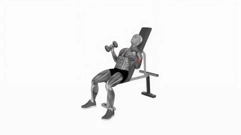 Dumbbell Incline Hammer Simultaneous Curl fitness exercise workout animation mal Video stock 243985147