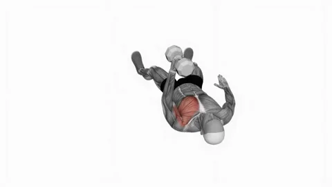 Dumbbell One Arm Floor Fly fitness exercise workout animation male muscle highli Stockbeeldmateriaal 243986105